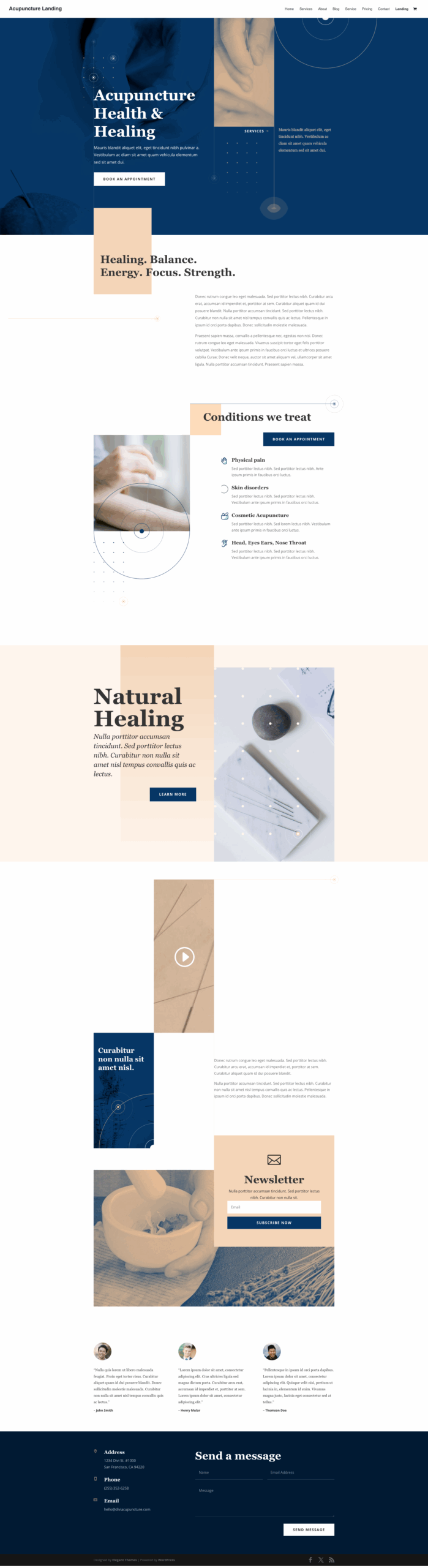 Acupuncture-Landing-Elegant-Themes-11-29-2024_09_17_AM